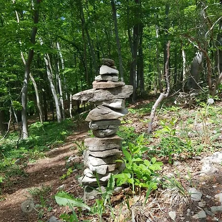 Aeltestes Haus In Quentel - 2 Mit Dachterrasse *