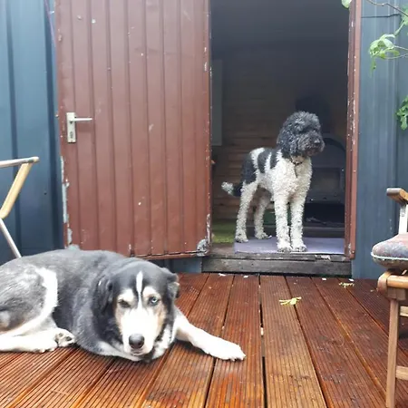 Lejlighed Aeltestes Haus In Quentel - 2 Mit Dachterrasse