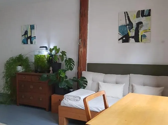 Aeltestes Haus In Quentel - 2 Mit Dachterrasse Lichtenau