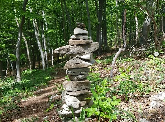Aeltestes Haus In Quentel - 2 Mit Dachterrasse *