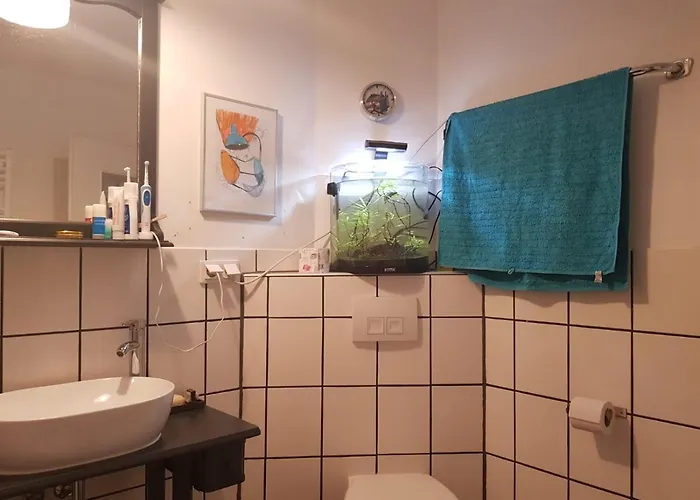 Aeltestes Haus In Quentel - 2 Mit Dachterrasse Apartamento Lichtenau