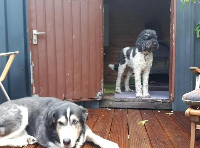 Apartamento Aeltestes Haus In Quentel - 2 Mit Dachterrasse