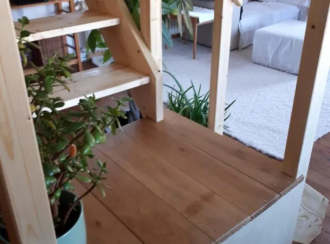 Aeltestes Haus In Quentel - 2 Mit Dachterrasse Apartamento Lichtenau